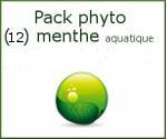 Pack Menthe 