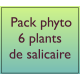 Pack Salicaire 