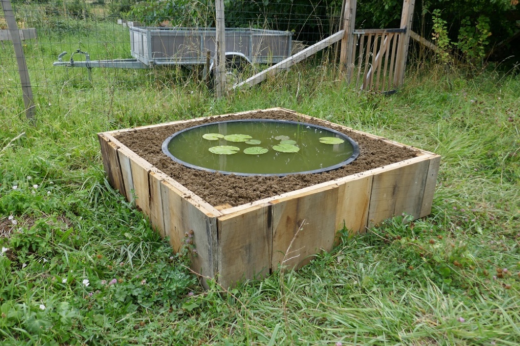 Créer un mini-bassin dans un petit jardin