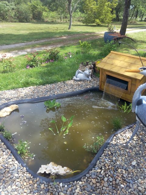 Jardin : installation d'un petit bassin préformé
