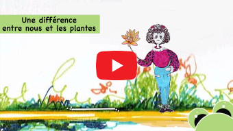 Vidéo sur les plantes