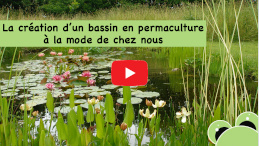 vidéo sur la permaculture