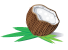 coque de coco