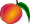le fruit abricot