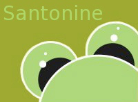 Logo Santonine