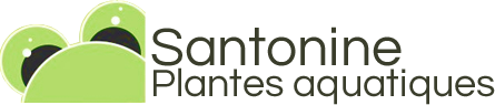 Santonine- Plantes aquatiques